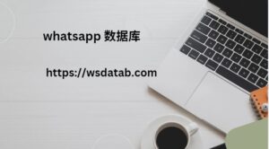 Whatsapp 数据库